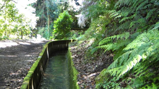 Levada für die Wasserversorgung auf der Insel Madeira