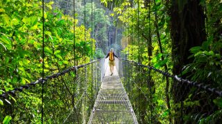 Haengebruecke im Urwald – Costa Rica