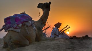 Indien – Kamel mit Reiter
