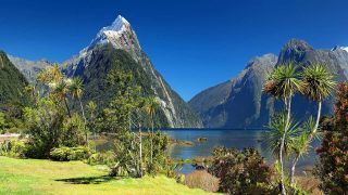 Neuseeland – Milford Sound 2