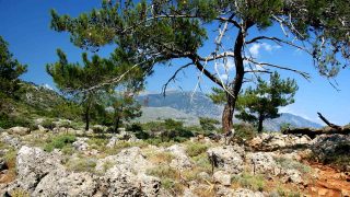 Wanderreise_Kreta – Die Weißen Berge